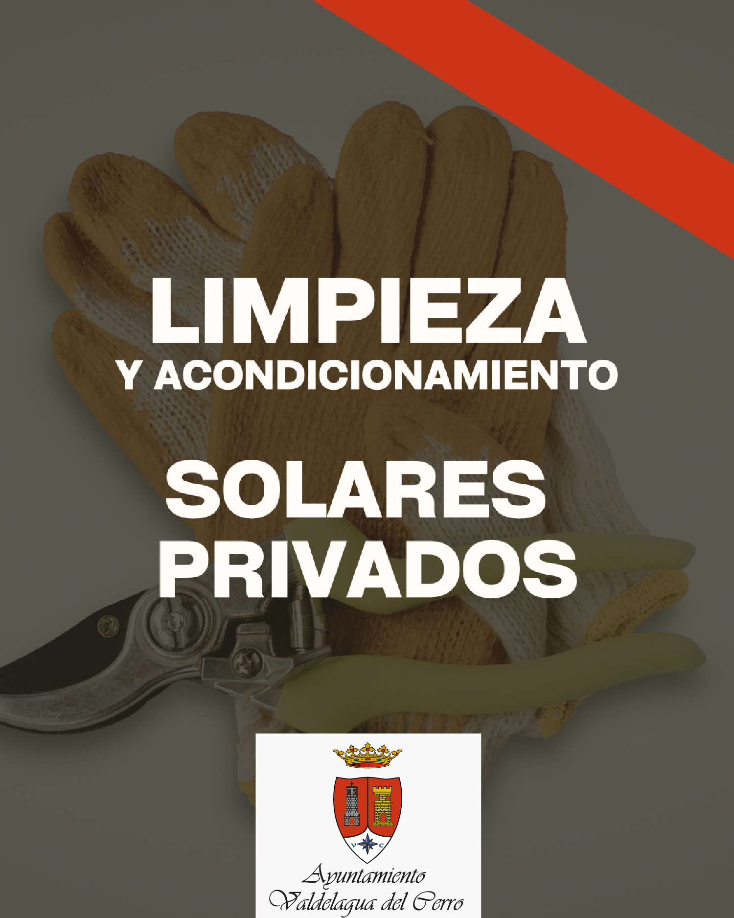 LIMPIEZA DE SOLARES